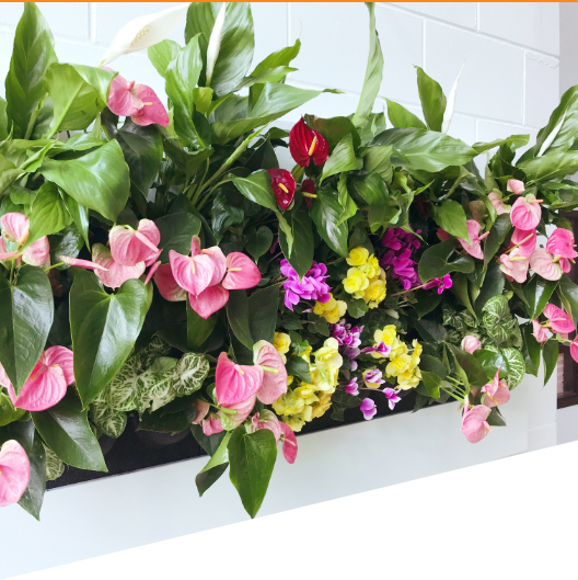 Living frame with blooming flowers