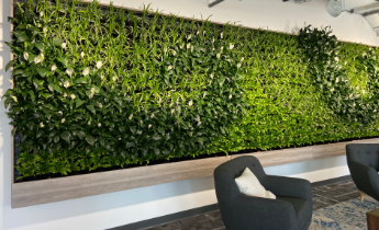 Living green wall