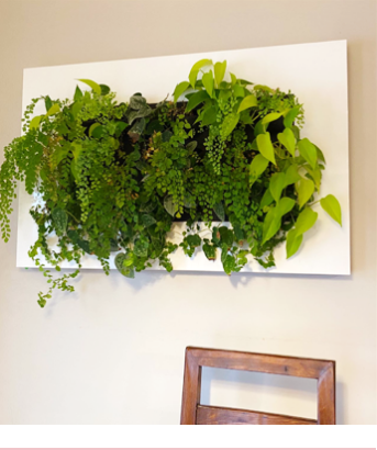 Living frame two years after installation