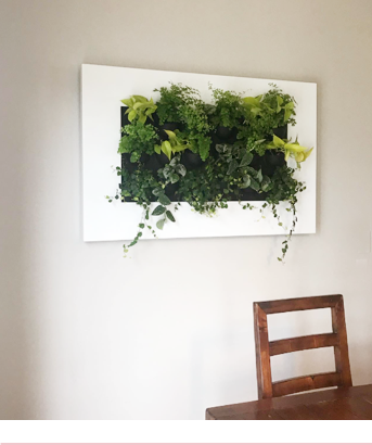 Living frame when first installed