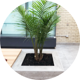 Planter in lobby made of concrete