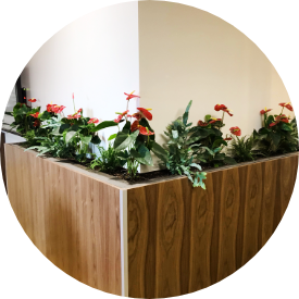Planter in lobby