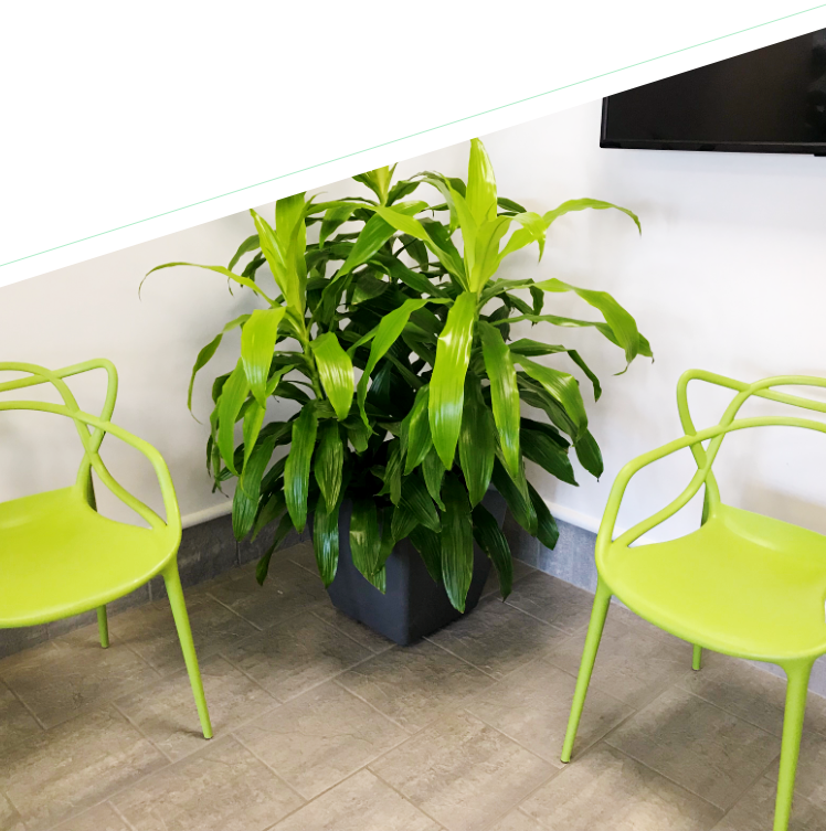 Planter brightens a corner