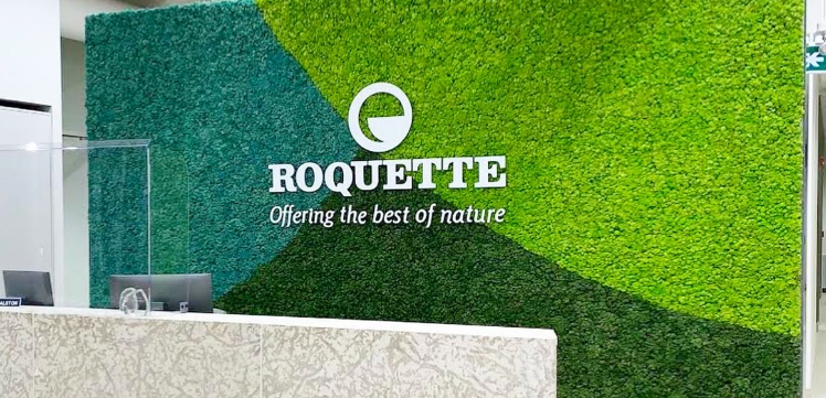 Example of preserved moss wall art