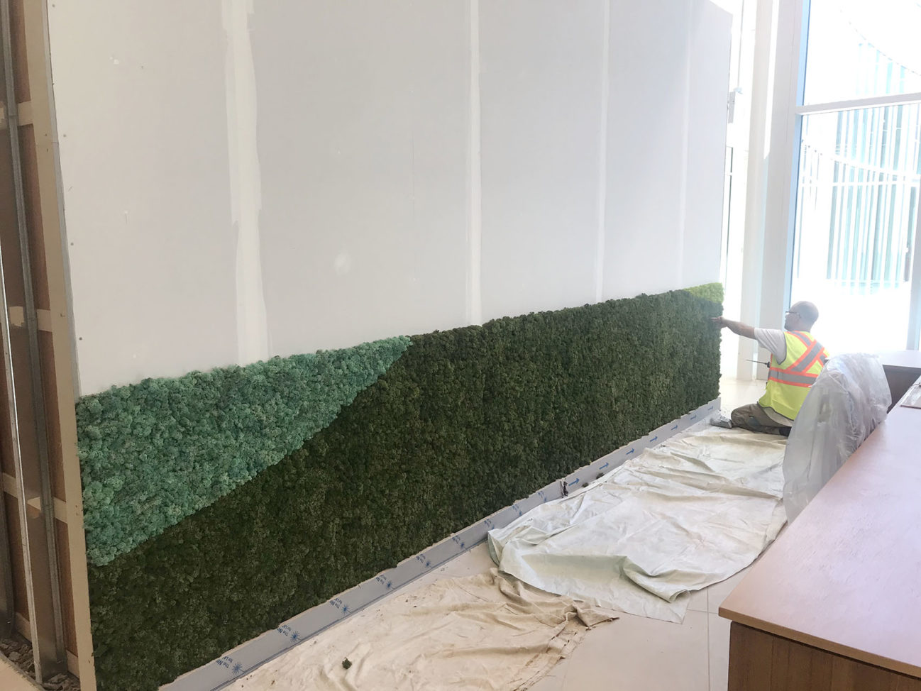 Installing the preserved moss wall
