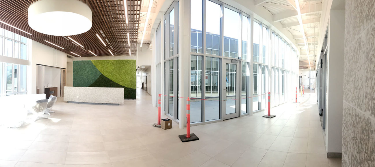 Preserved moss signage for Roquette pea factory