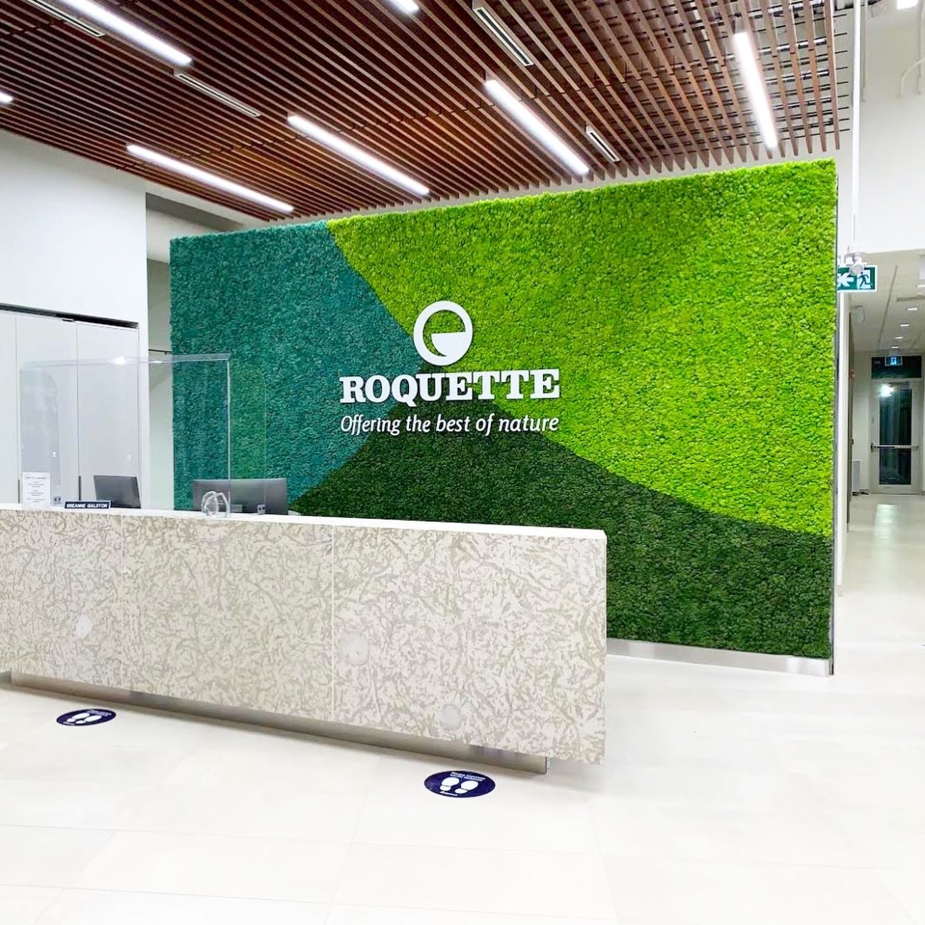 Preserved moss signage for Roquette pea factory