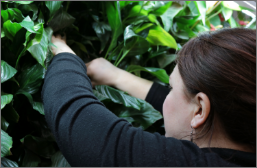 Plants must be checked regularly