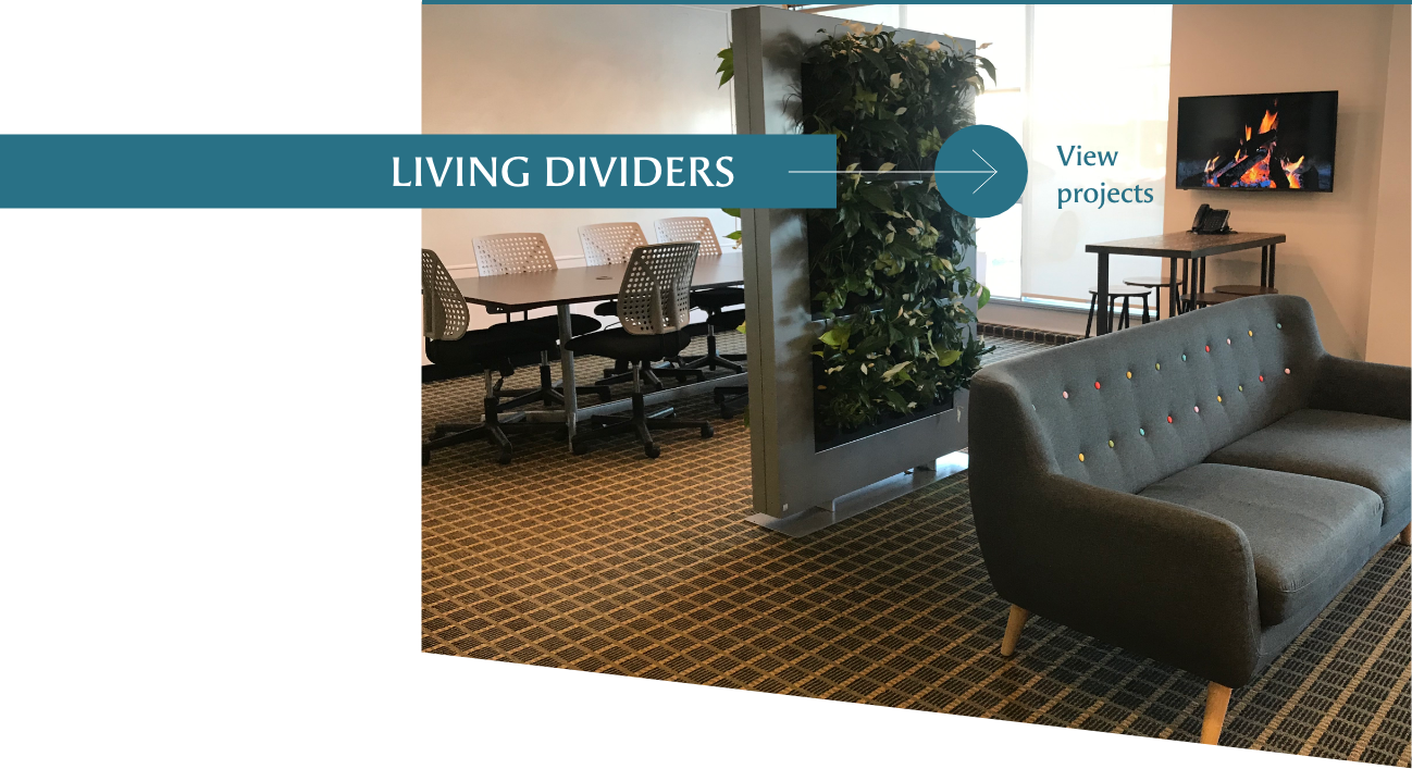 Living divider projects by Off the Wall Greenscapes