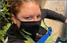 Regular maintenance of a green wall is key