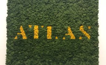 Preserved moss logo by Off the Wall Greenscapes in Winnipeg