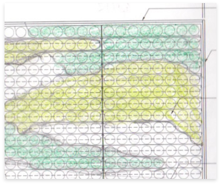 Designing a green wall