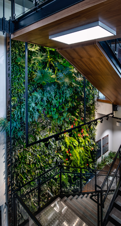 Maintaining a green wall