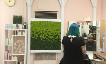 Multicolour reindeer moss at Sapphire hair salon