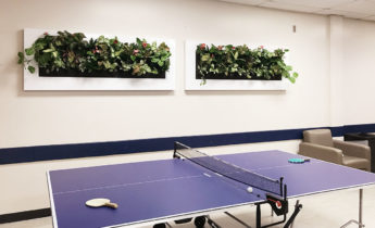 School lunchroom living frames