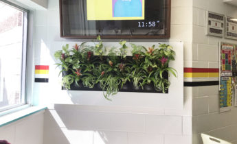 Live Picture 3 in a Winnipeg school