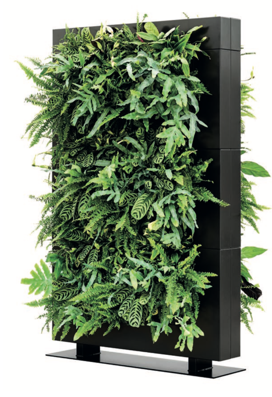 Living divider in black finish