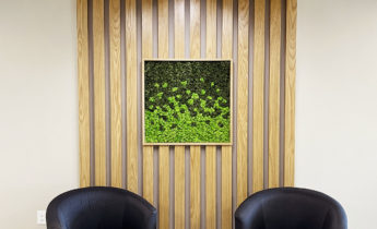 Preserved reindeer moss artwork