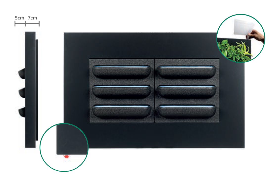 LivePicture living frame example showing self watering system